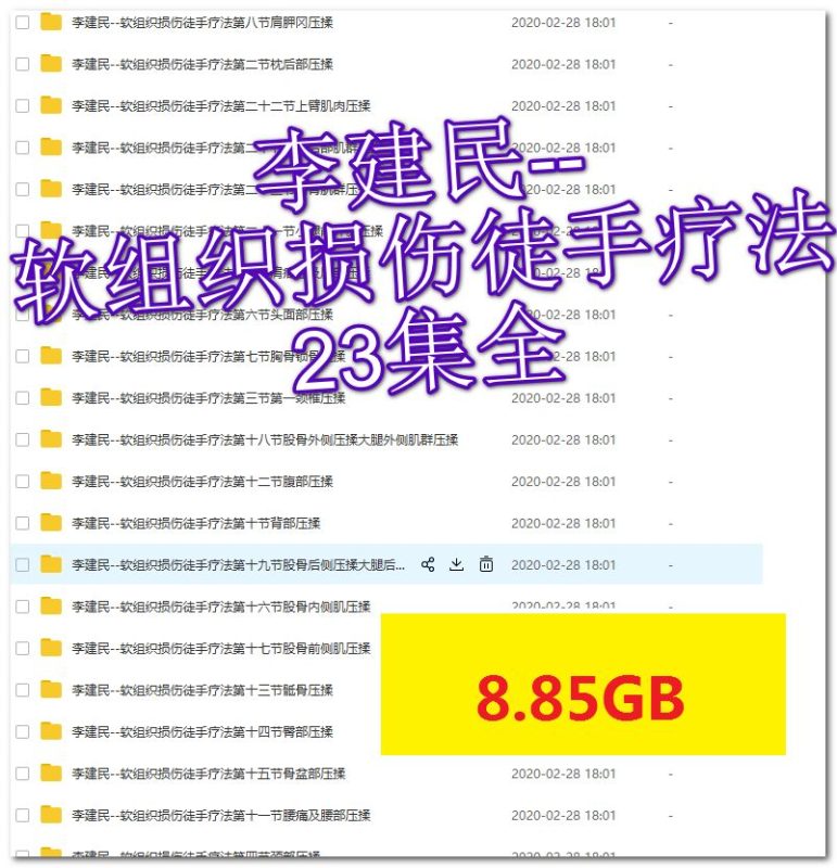 李建民华人一手软组织损伤徒手疗法视频教程-中医免费自学网