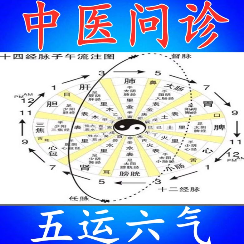 顾植山中医问诊五运六气精讲全套视频教程-中医免费自学网