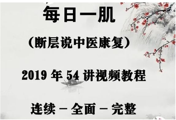 断层说中医康复《每日一肌》54讲肌肉解剖与功能视频教程-中医免费自学网