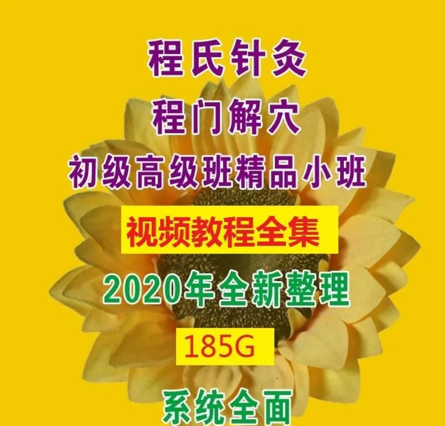  程氏针灸程门解穴精品小班中医视频教程