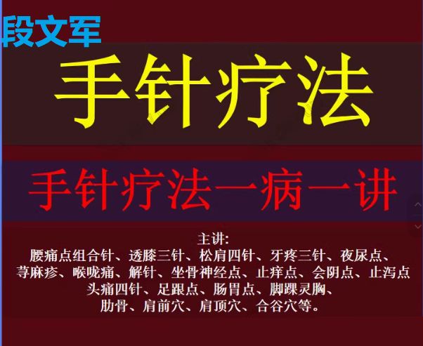  段文军手针疗法一病一讲高清针灸视频教程-中医免费自学网