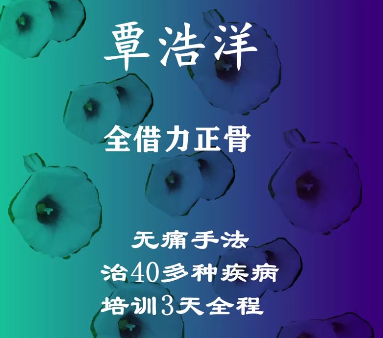 覃浩洋全借力正骨术治疗40多种疾病3天培训视频教程免费下载